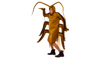 cucaracha