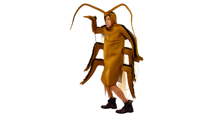 cucaracha